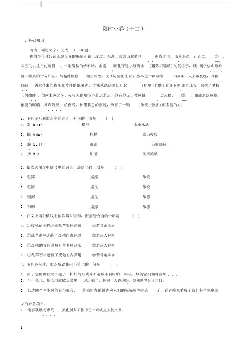 山东省潍坊市2019中考语文总复习限时许十二含答案.docx