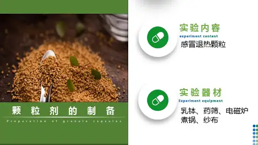 中药颗粒剂的制备