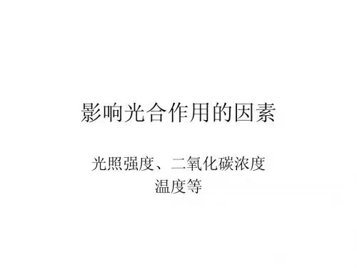 影响光合作用的因素
