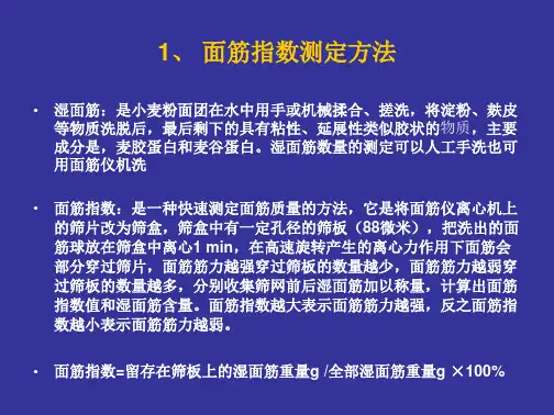 湿面筋指数测定