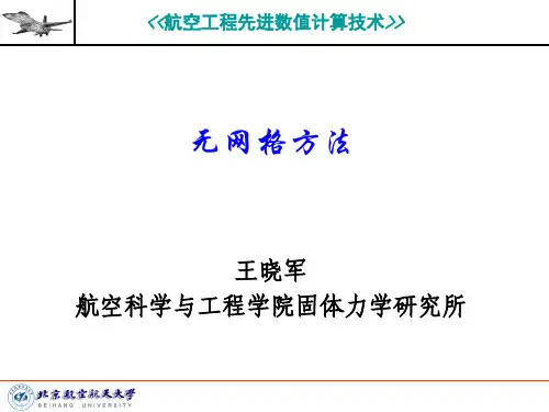 10_无网格方法