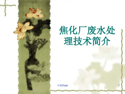 焦化厂废水处理技术简介