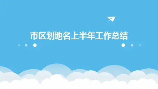 市区划地名上半年工作总结PPT