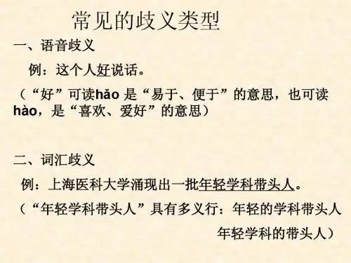 常见的歧义类型