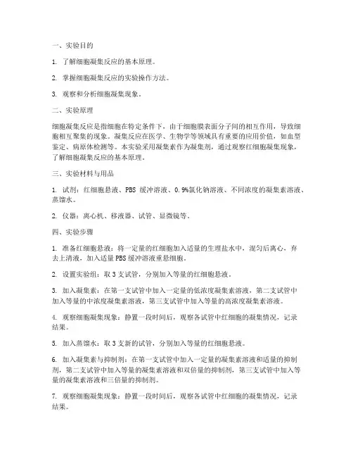细胞反应凝集实验报告