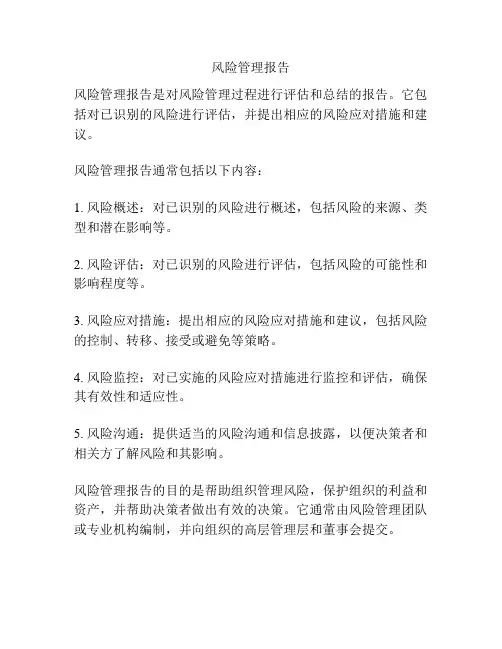 风险管理报告