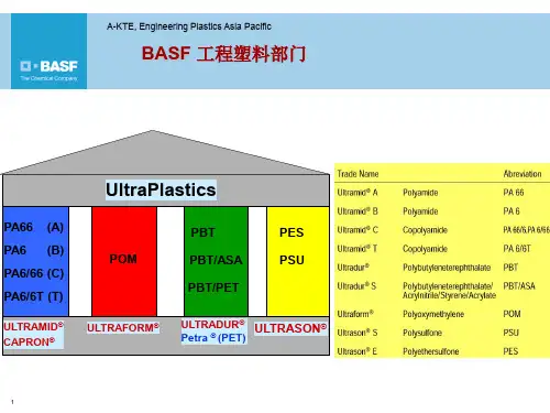 BASF 材料介绍