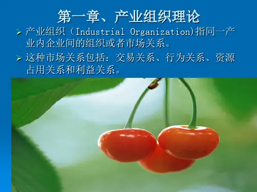 产业组织理论教材(PPT 61页)