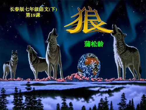 《长春版七年级语文(下)第18课《狼》》
