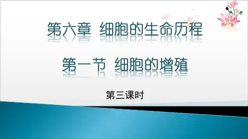 人教版生物必修一细胞的增殖(共课)课件-ppt精品课件