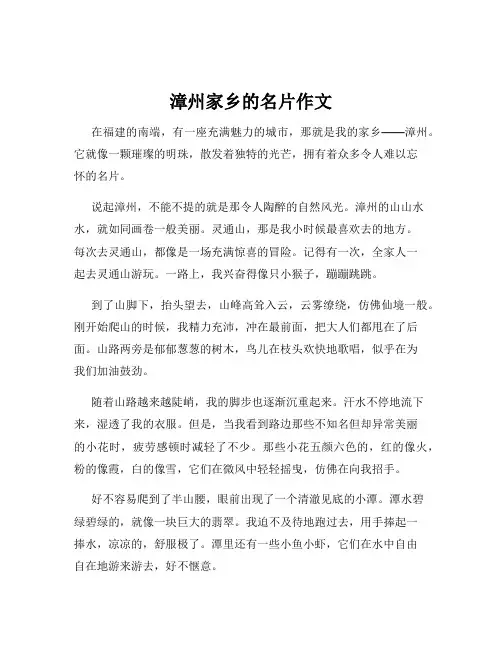 漳州家乡的名片作文