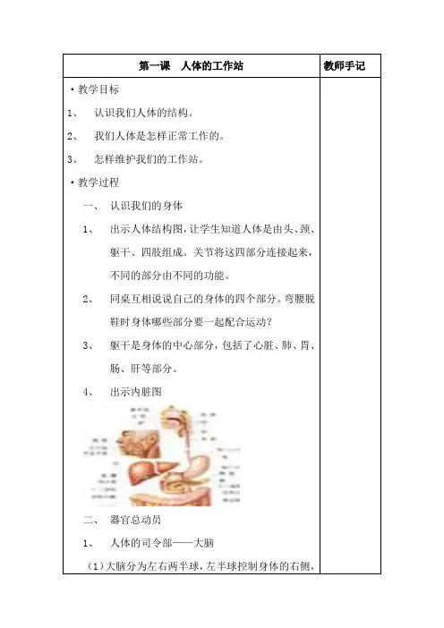 第一课人体的工作站