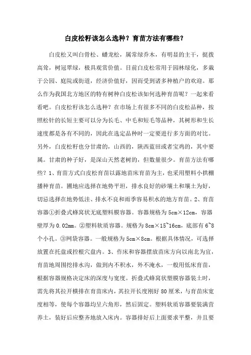 白皮松籽该怎么选种？育苗方法有哪些？