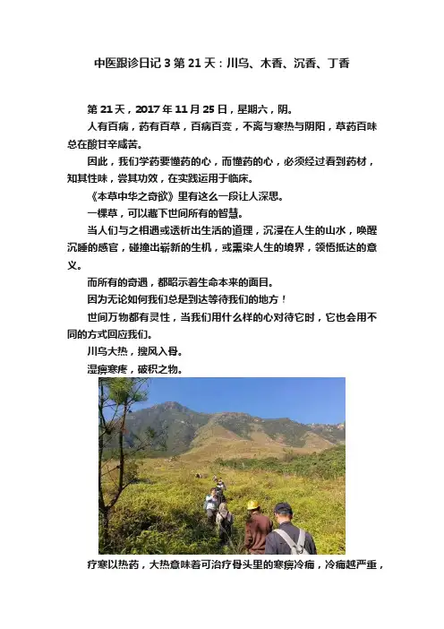 中医跟诊日记3第21天：川乌、木香、沉香、丁香