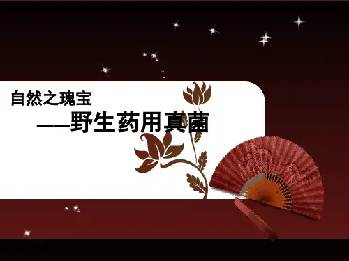 野生药用真菌介绍