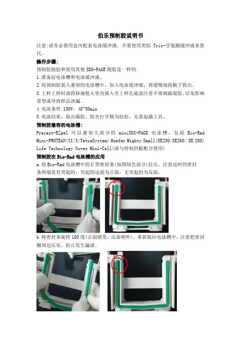 伯乐预制胶说明书