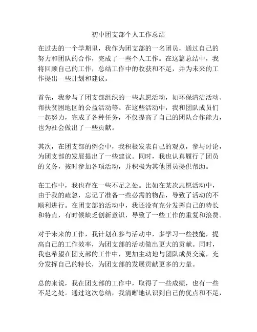 初中团支部个人工作总结