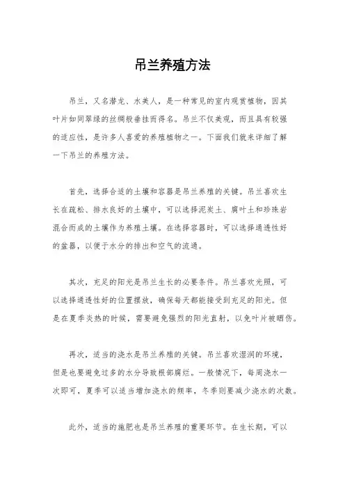 吊兰养殖方法