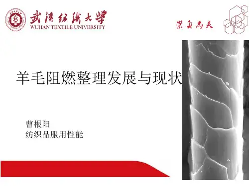 第九讲：羊毛阻燃整理发展