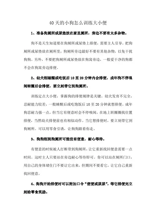 40天的小狗怎么训练大小便