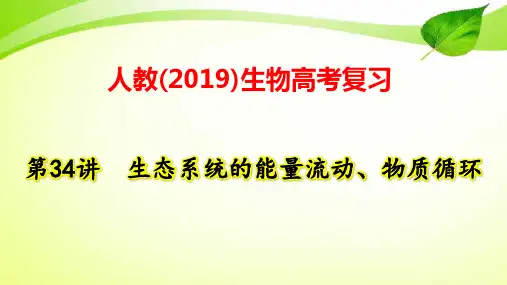 人教(2019)生物高考复习：第34讲 生态系统的能量流动、物质循环