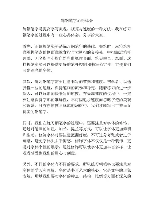 练钢笔字心得体会