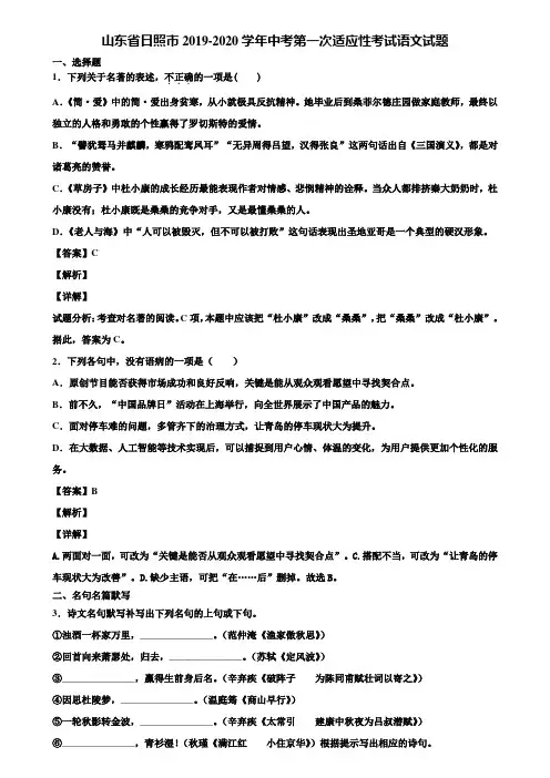山东省日照市2019-2020学年中考第一次适应性考试语文试题含解析