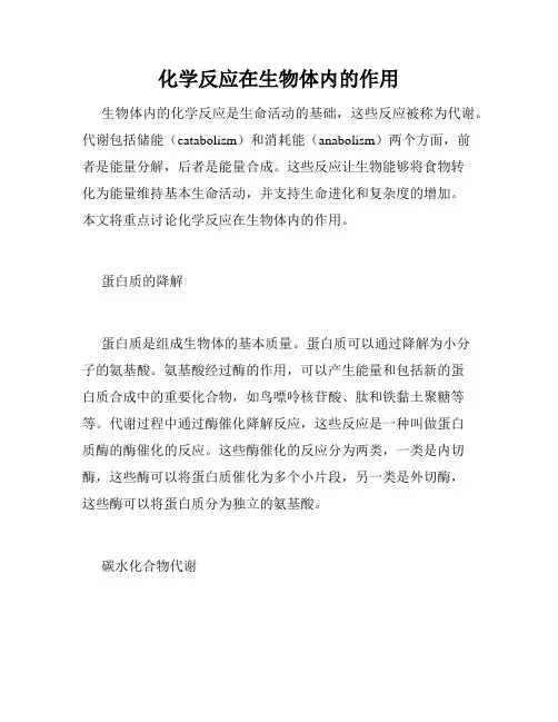 化学反应在生物体内的作用