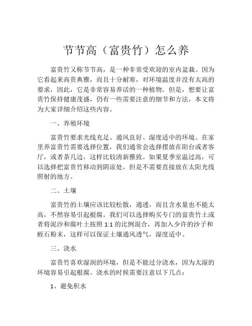 节节高(富贵竹)怎么养