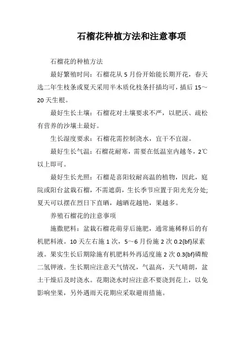 石榴花种植方法和注意事项