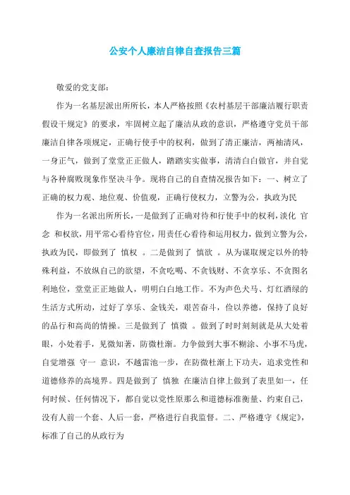 公安个人廉洁自律自查报告三篇