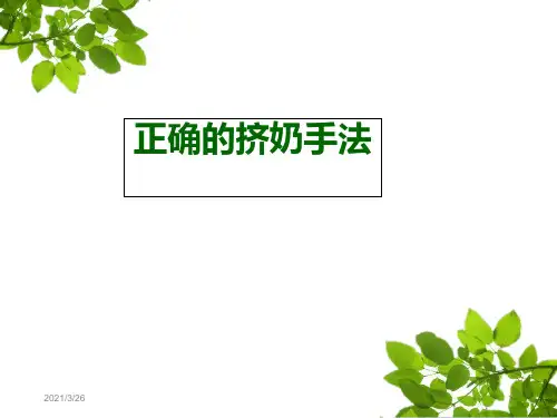 《正确的挤奶手法》PPT课件