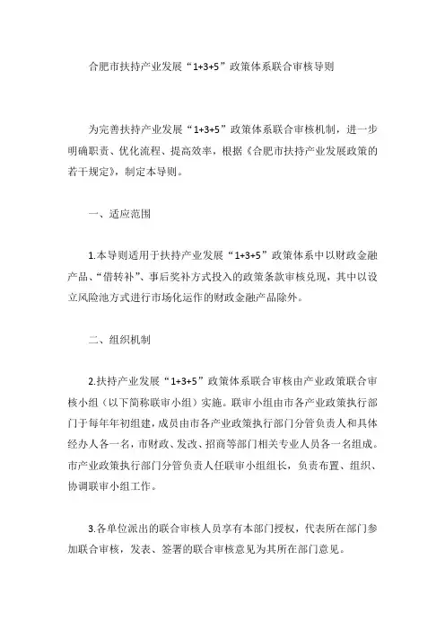 合肥市扶持产业发展“1+3+5”政策体系联合审核导则