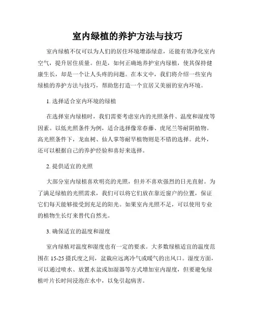 室内绿植的养护方法与技巧