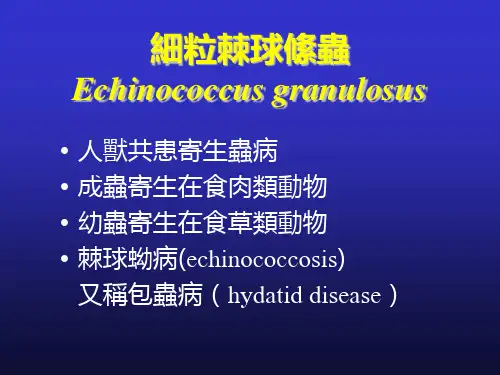 细粒棘球绦虫课件