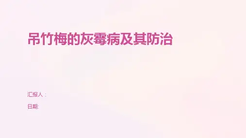 吊竹梅的灰霉病及其防治