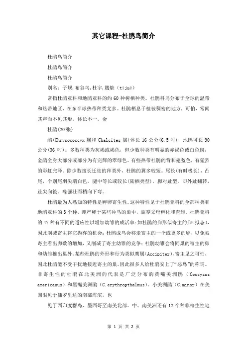 其它课程-杜鹃鸟简介