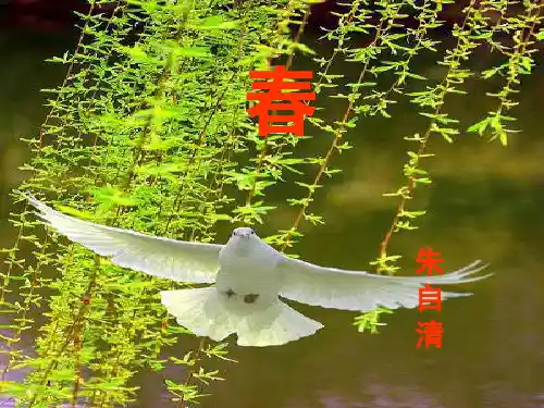 (部编)初中语文人教版七年级上册义务教育教科书[新疆专用] PPT 课件