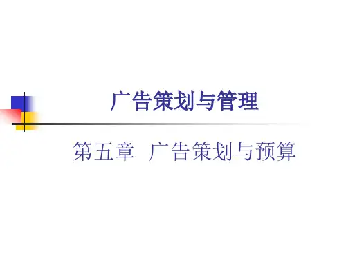 第五章_广告策划与预算