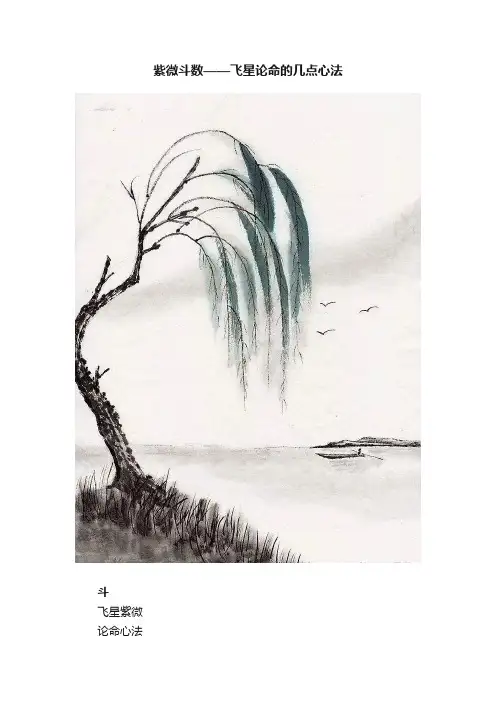 紫微斗数——飞星论命的几点心法