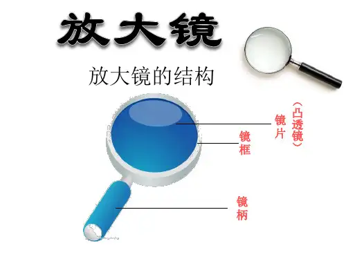 教科版六年级科学下册第一单元第1课放大镜