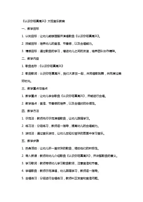 《认识你呀真高兴》大班音乐教案