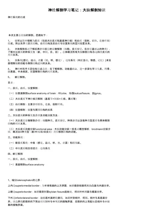 神经解剖学习笔记：大脑解剖知识
