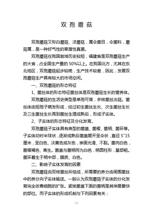 双 孢 蘑 菇