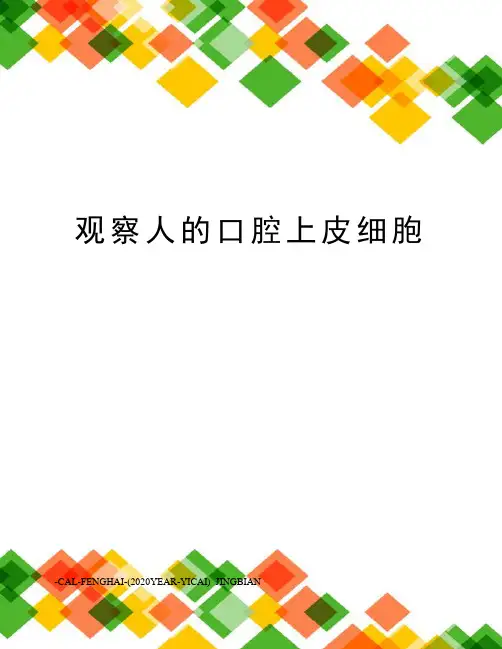 观察人的口腔上皮细胞