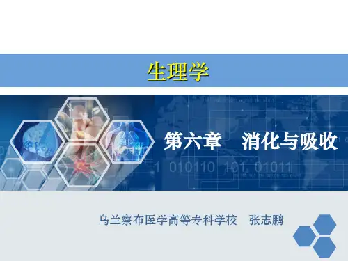 生理学  第六章 消化与吸收ppt课件