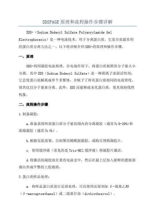 SDSPAGE原理和流程操作步骤详解