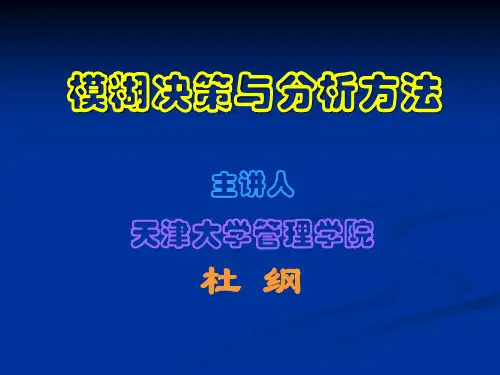 模糊决策与分析方法