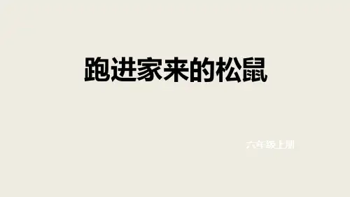 六年级上册语文课件-22.跑进家来的松鼠｜人教新课标 (共29张PPT)