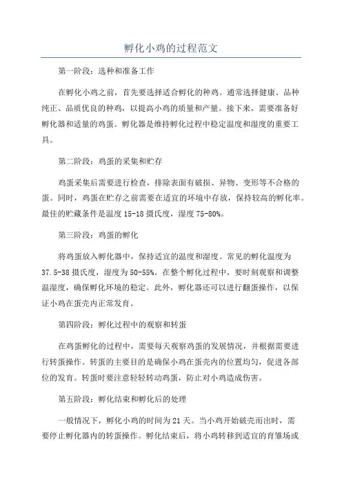 孵化小鸡的过程范文